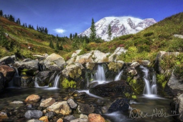 MRNP_Edith_Creek