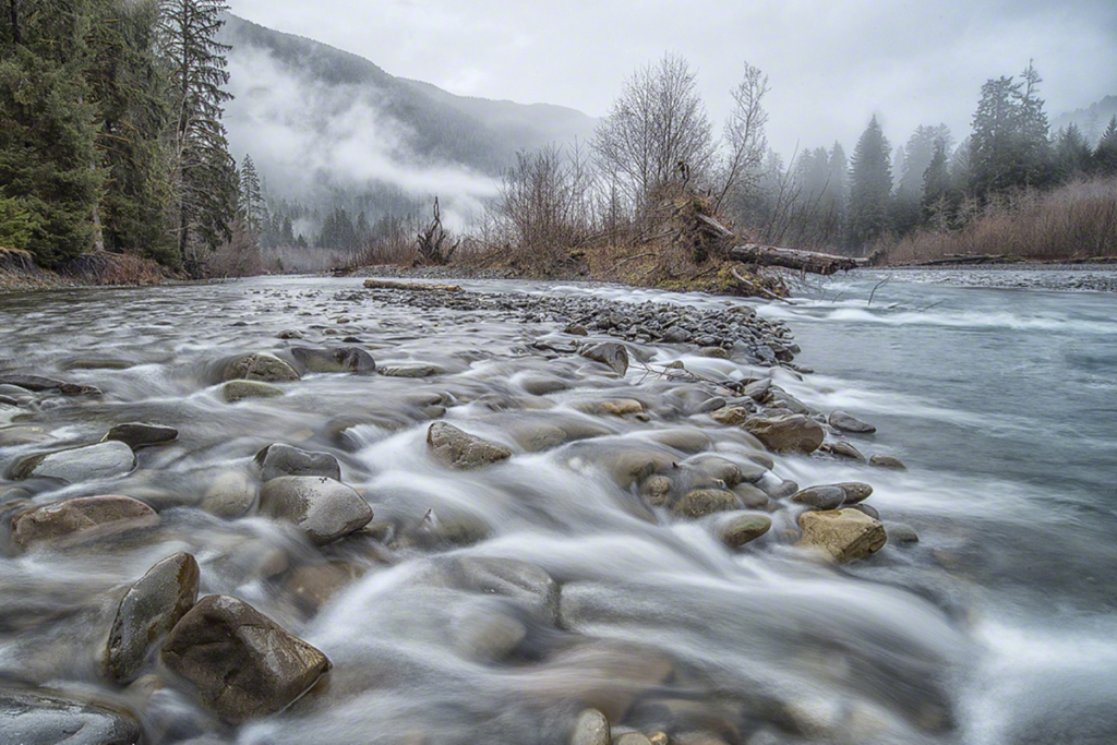 Hoh 5Mile Island (WA) The Trail Posse