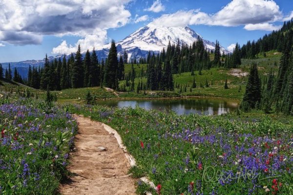 MORA_Naches_MtRainier