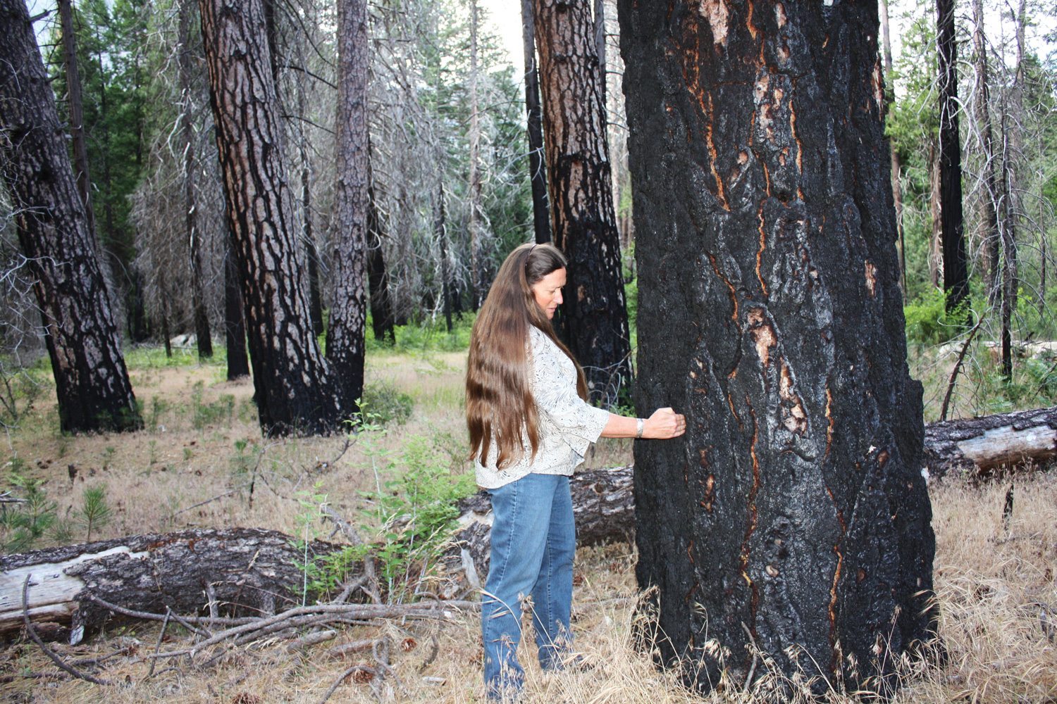 NPS_Climate_KellyMartin