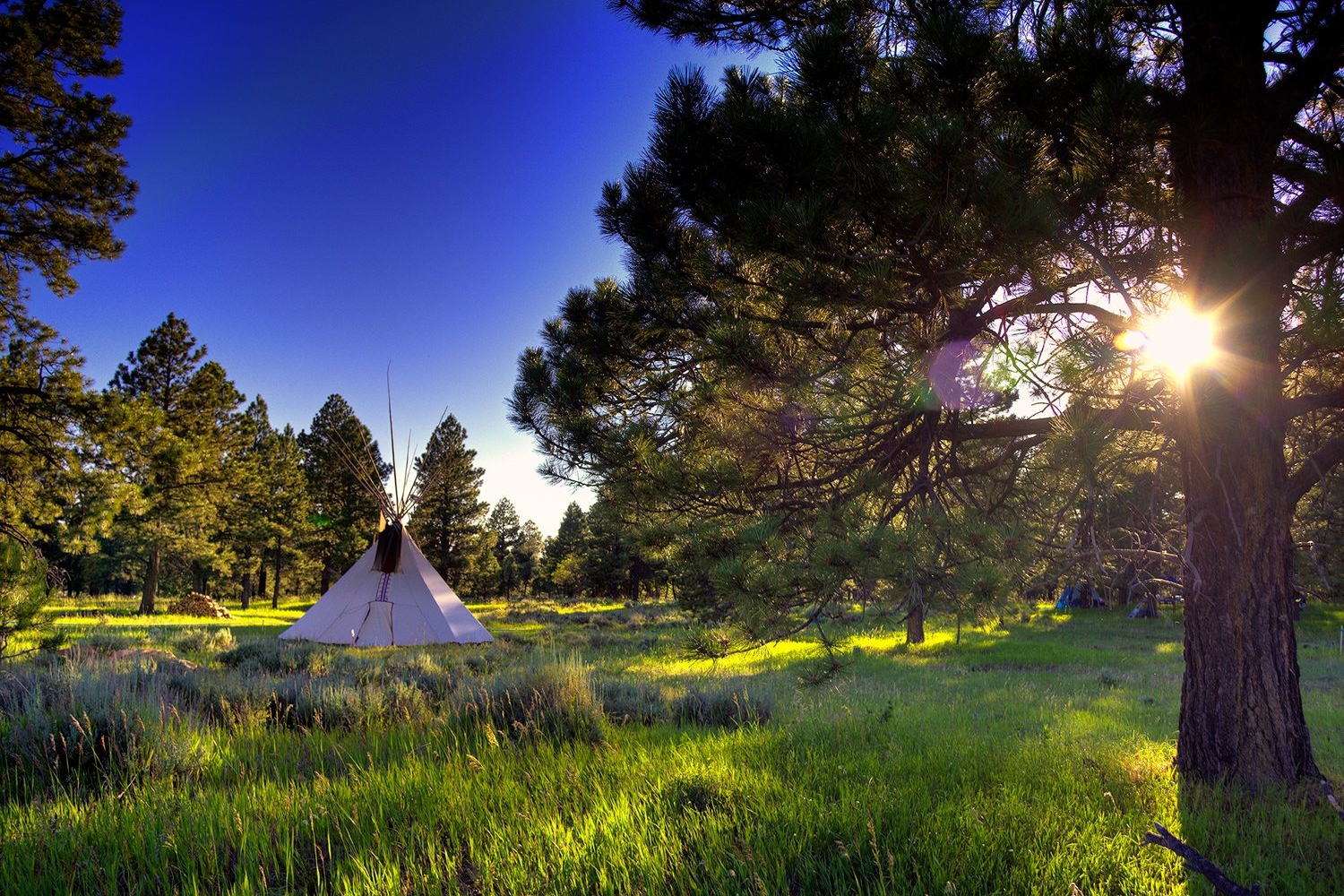 BEARSEARS_Summer_Gathering_Sunray_Tipi_LoRes-Credit-Tim-Peterson(1)-copy