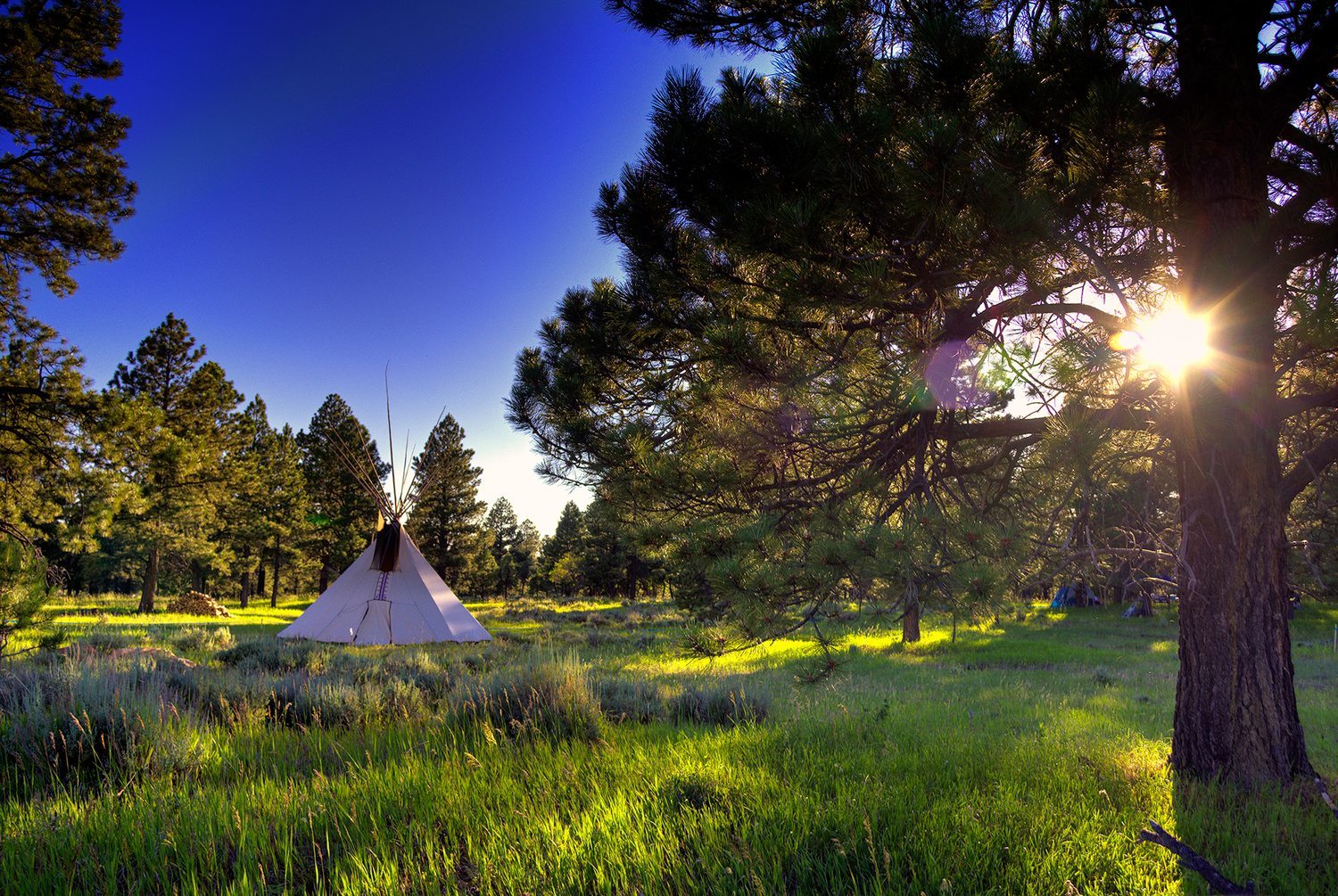 BEARSEARS_Summer_Gathering_Sunray_Tipi_LoRes-Credit-Tim-Peterson(1)-copy