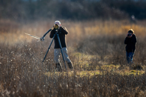 Short-Eared Photogs_2000